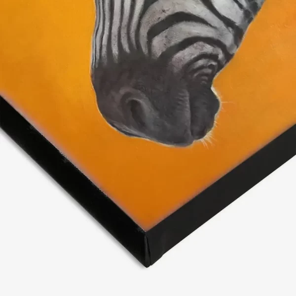 WILD ZEBRA - Image 4